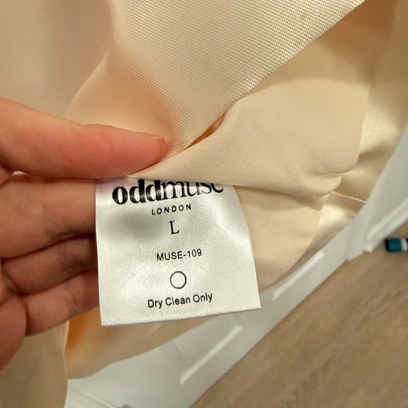 Odd Muse The Ultimate Muse Satin Shift Dress - Picture 4 of 5